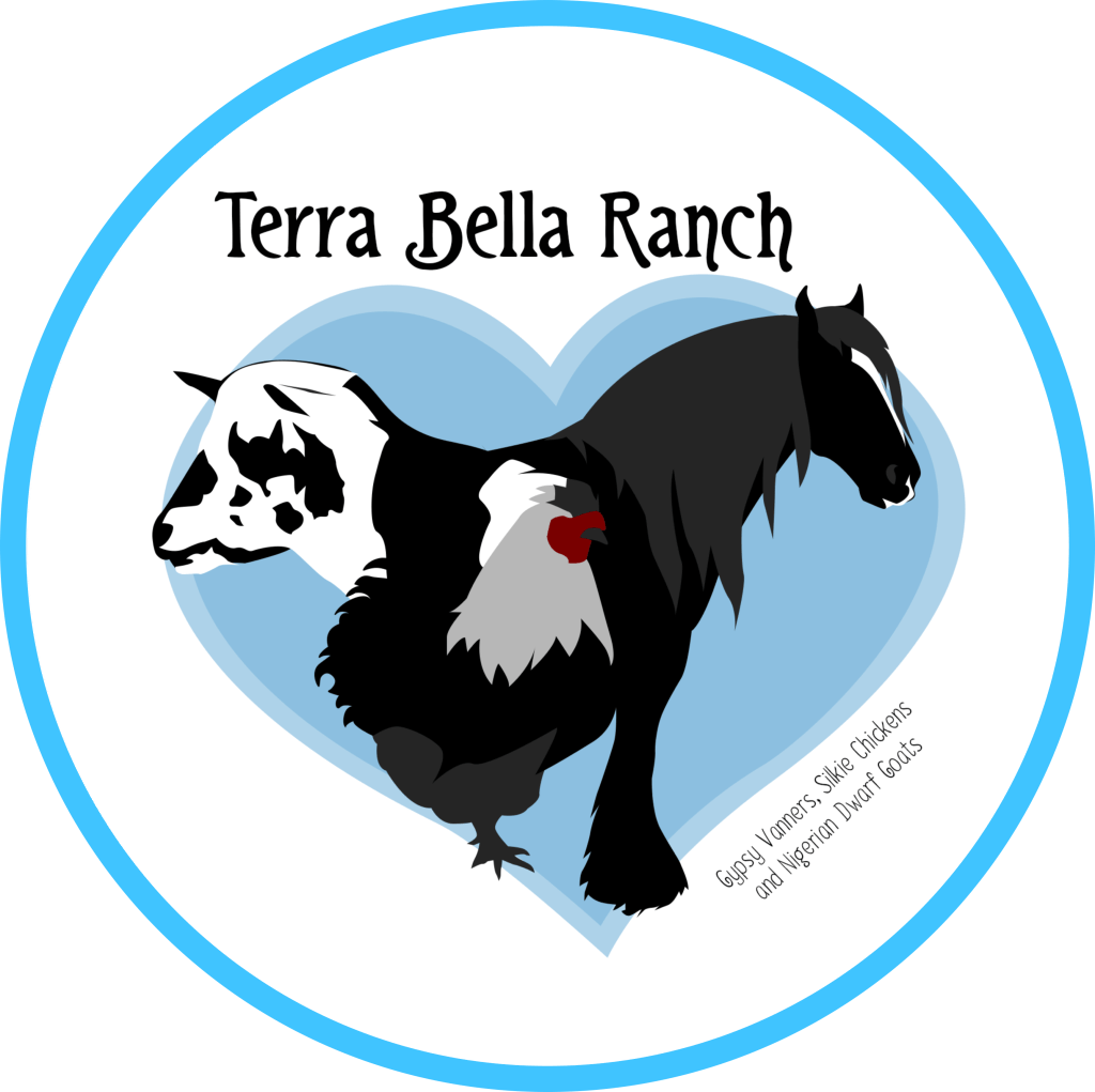 Terra Bella Ranch, LLC A family farm located in beautiful Fincastle, Virginia 24090.